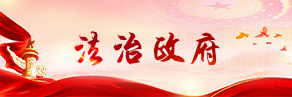 法治政府